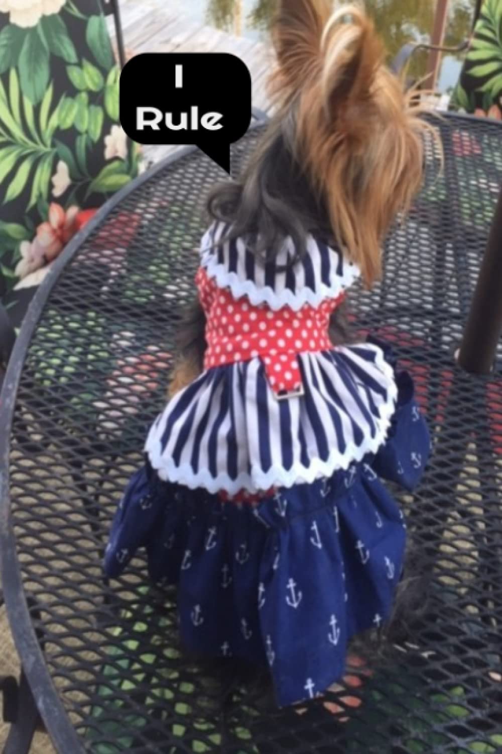 I Rule: Yorkie Journal