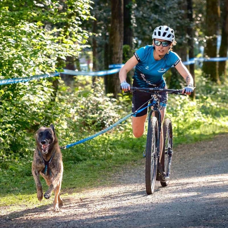 Inlandsis Barre cani-VTT bikejoring Bikejor Max