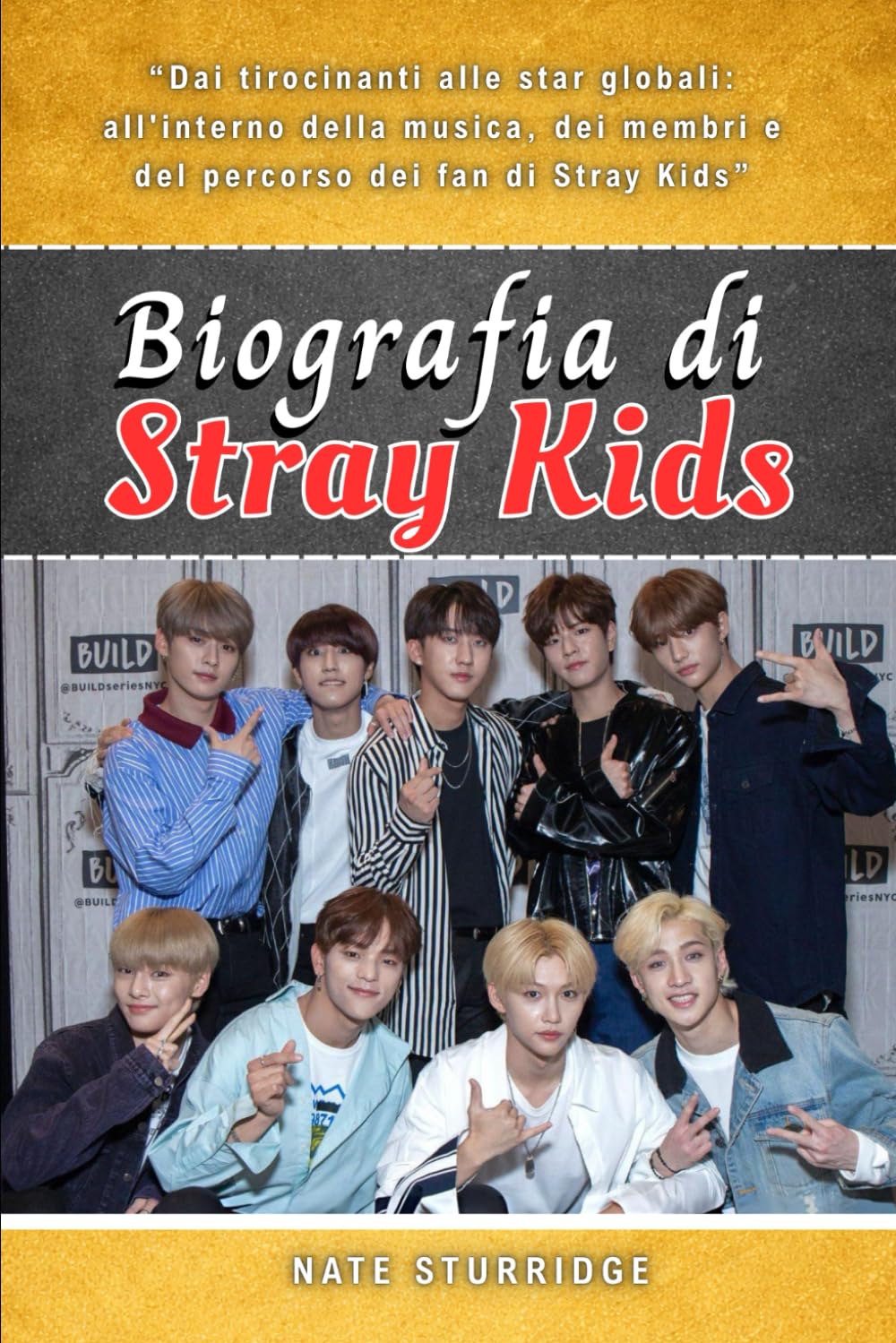 BIOGRAFIA DI STRAY KIDS: Dai tirocinanti alle star globali: all'interno della musica, dei membri e del percorso dei fan di Stray Kids