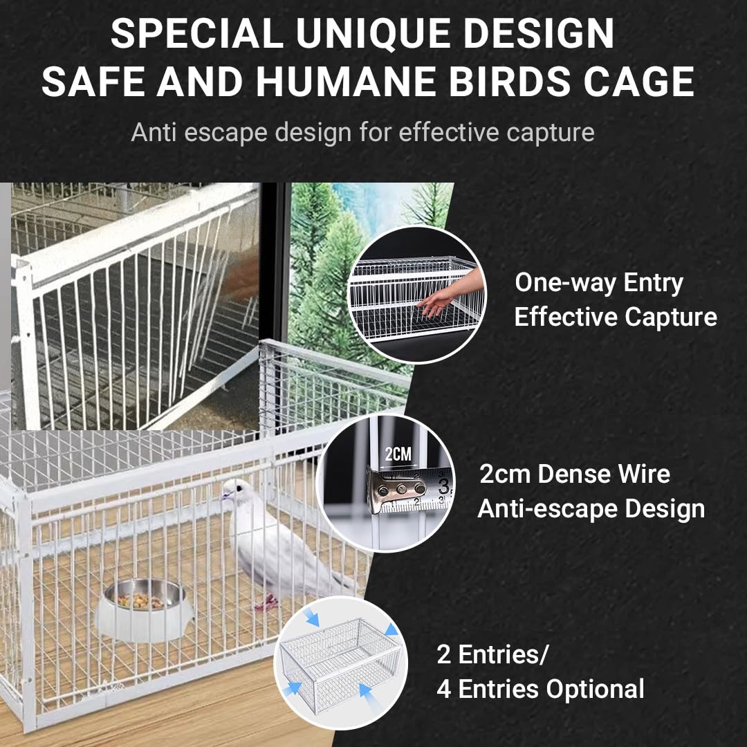 AutoTrap - Jaula para pájaros, solo entrada, sin salida, trampa para palomas con diseño a prueba de escapes, trampas para pájaros pequeños vivos, puerta de trampa para palomas, jaula de trampa para