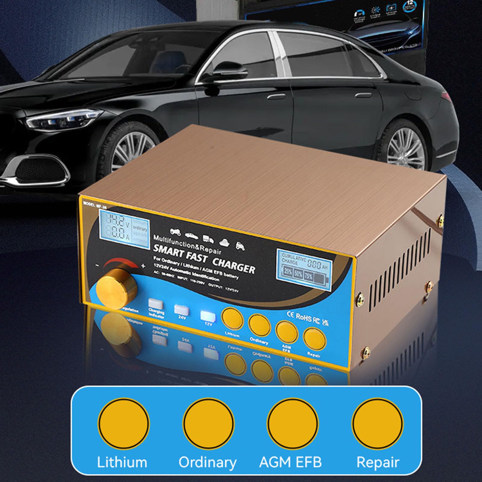 Fafeicy 12 V 24 V ładowarka Baterii Desulfator Smart Cargher Akutting Battery do Automotive Marine RV ATV z Wskaźnikiem LED Temperatura (wtyczka UE)