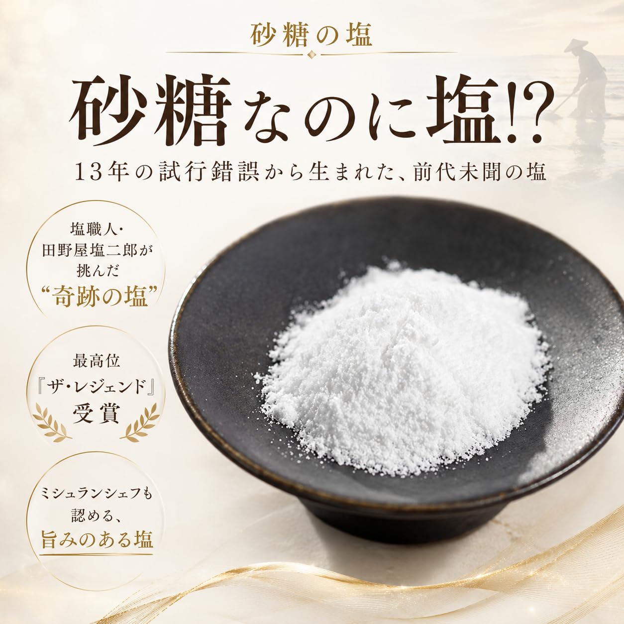 Amazon.co.jp: 田野屋塩二郎 砂糖の塩 通販の虎 塩二郎 塩 砂糖 20g