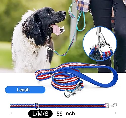 Miniatura 6 de Collar reflectante personalizado para perro con etiqueta de nombre personalizada de acero inoxidable grabada, lindo collar de hebilla cómodo para