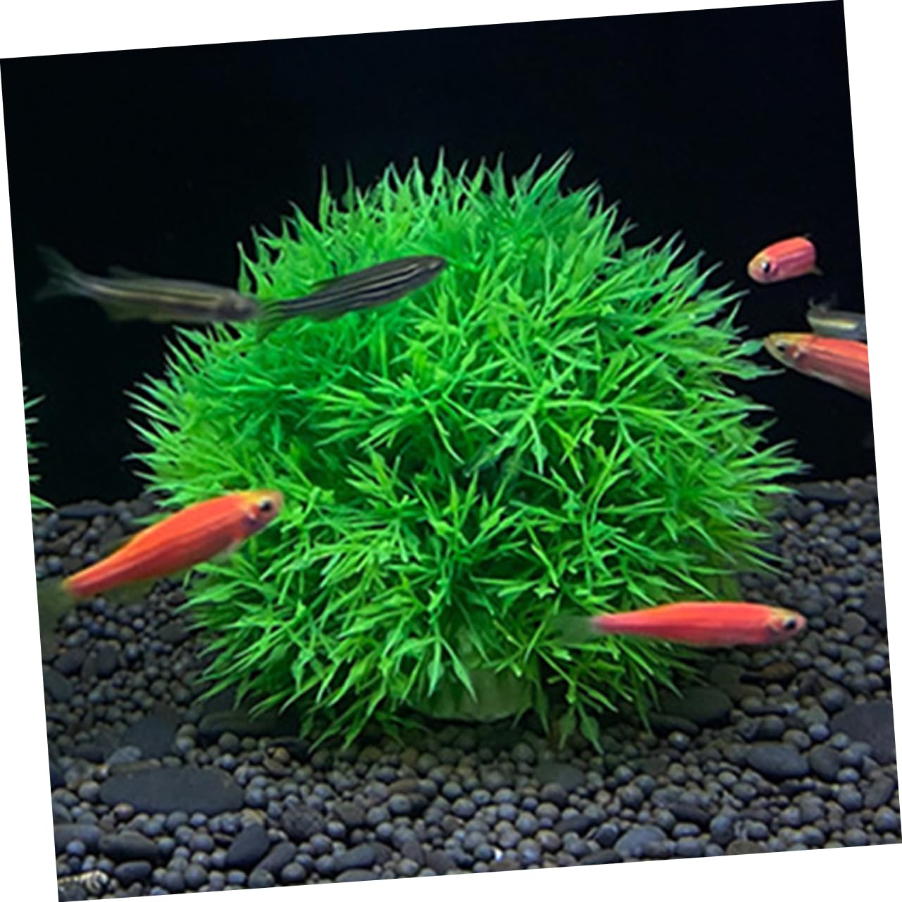 MAGICLULU 5 Set Di Piante Artificiali Per Acquario Piante Acquatiche Finte Realistiche Per La Decorazione Dellacquario 2 Pezzi * 5