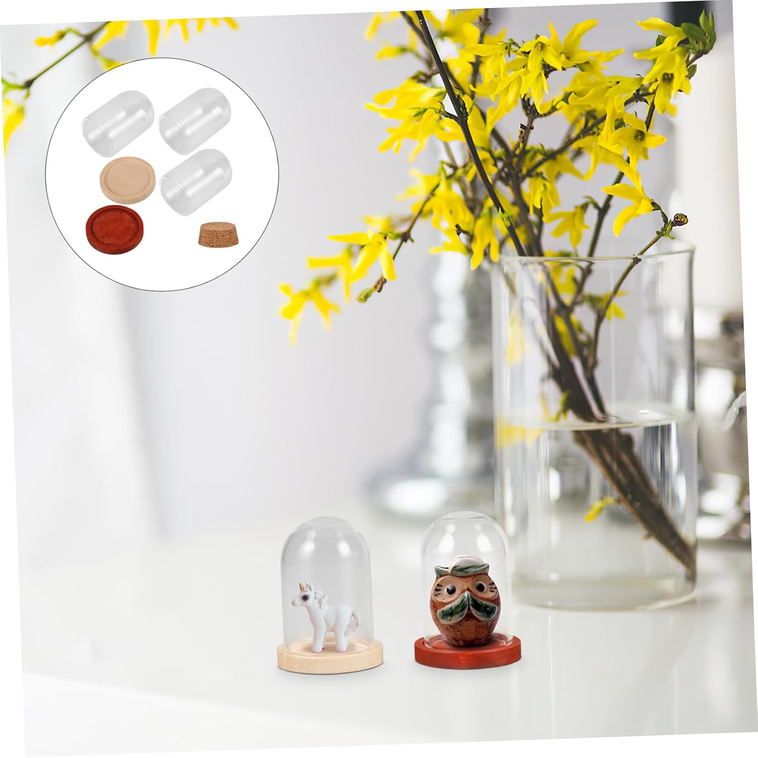 3 Sets Mini Glass Dome Display Case with Wood Base