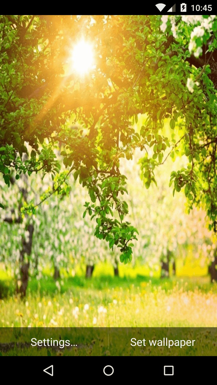 Spring Live Background Spring Live Wallpaper HD - App on Amazon Appstore