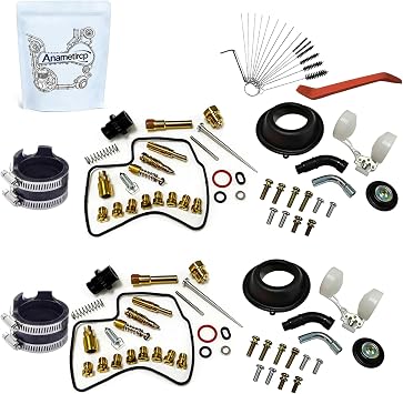 Carburetor Rebuild Kit for HMHonda Shadow VT1100 Motorcycles 2 Sets [Anametircp]