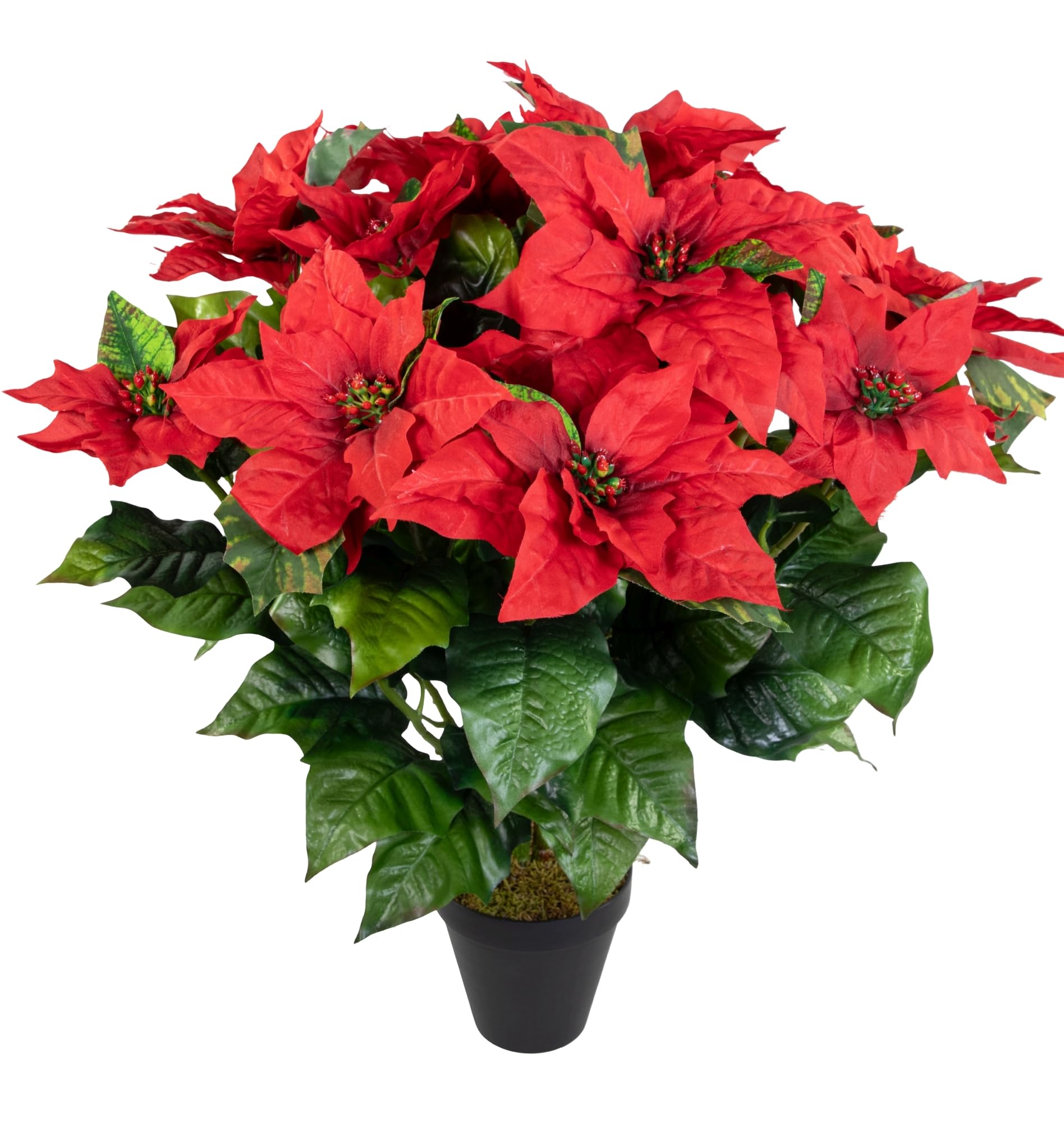 Seidenblumen Roß Weihnachtsstern 65x60cm im Topf rot PM künstliche Pflanzen Blumen Kunstpflanzen Kunstblumen Poinsettie