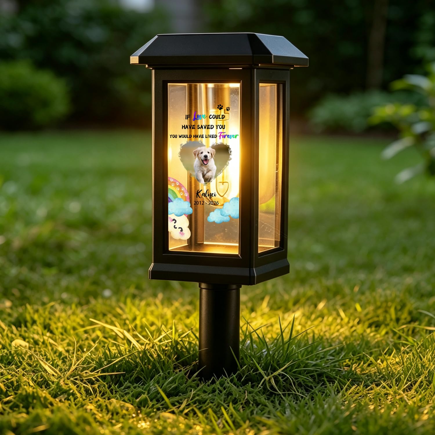 Amabery Personalized Pet Memorial Solar Lantern for Cemetery,Custom Solar Grave Light with Pet Photo,Name & Years,Waterproof Outdoor Garden Remembrance Sympathy Gift for Loss of Dog Cat
