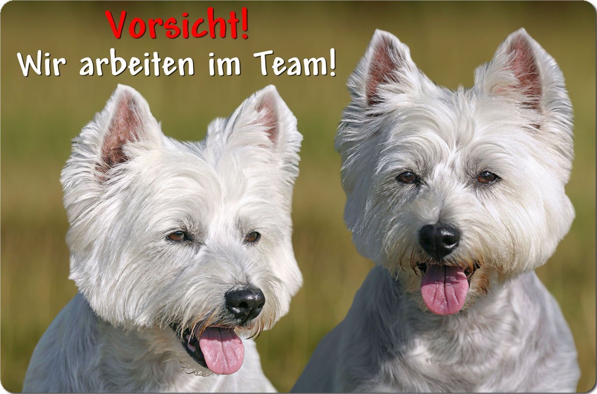 Metall-Warnschild Für West Highland White Terrier – Hundesignal Für Grundstück & Garten
