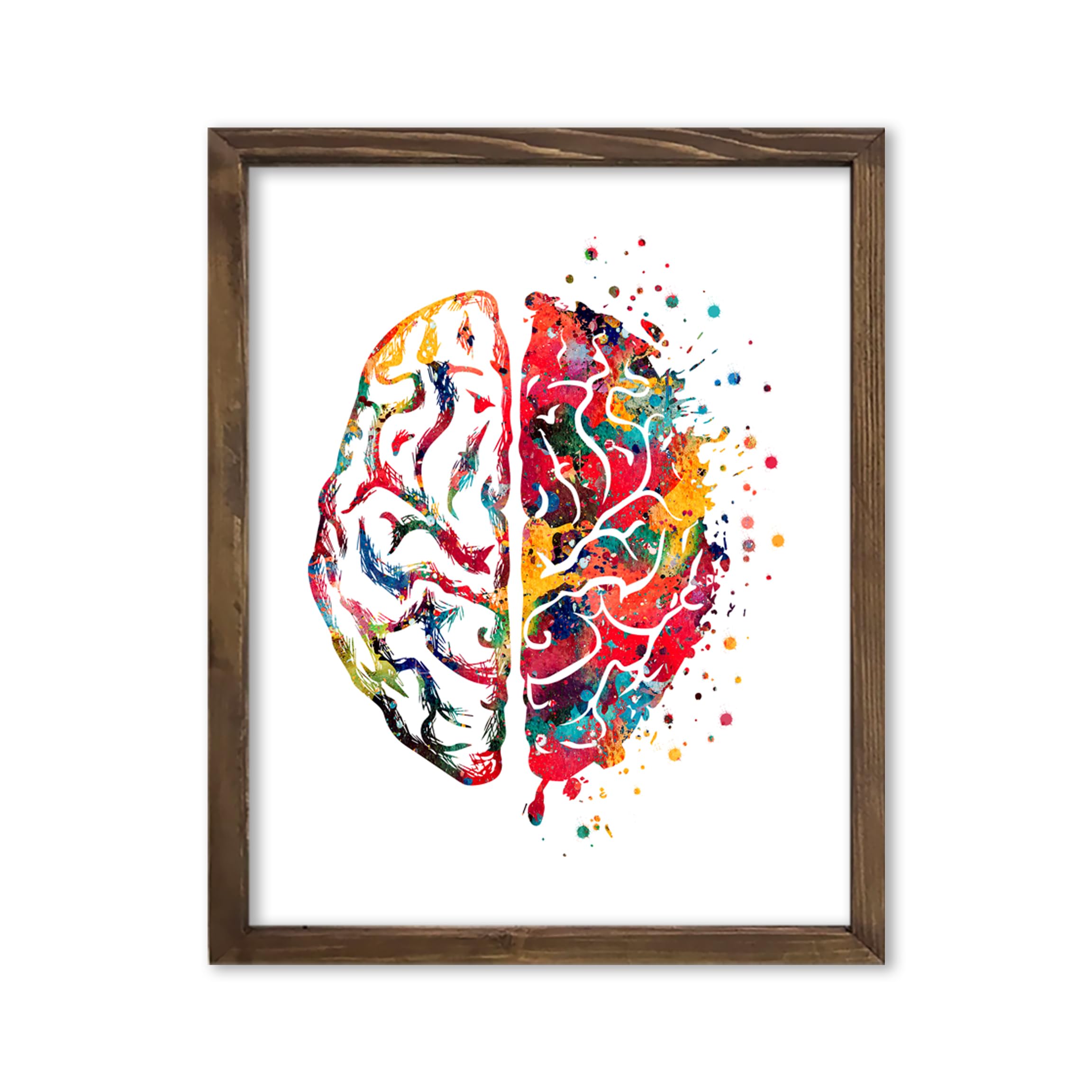 Watercolor Right Left Brain Functions Neurology Illustration Art Print for Medical Office Decor, Classroom Inspiration, Home Study Nook, Lab Reference Corner, Med Student Surprises, Aspiring Neurologist Tokens, Anatomy Teacher Honors, Science Enthusiast Presents, Parent Discovery Milestones, Birthday Gifts, Graduation Anatomy Markers, Festival Fact Keepsakes, Mentorship Tokens - 8x10 Unframed Print