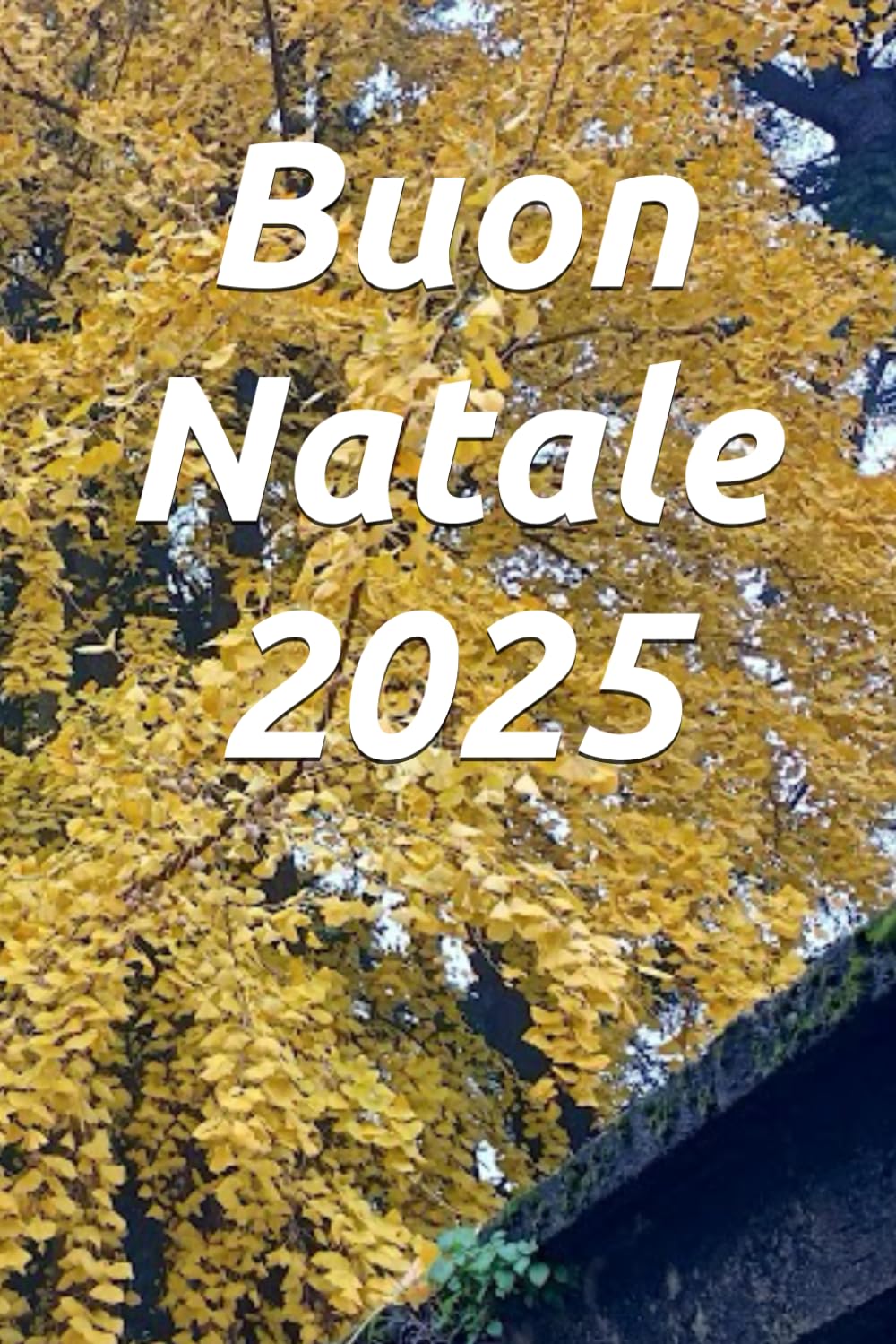 Buon Natale 2025