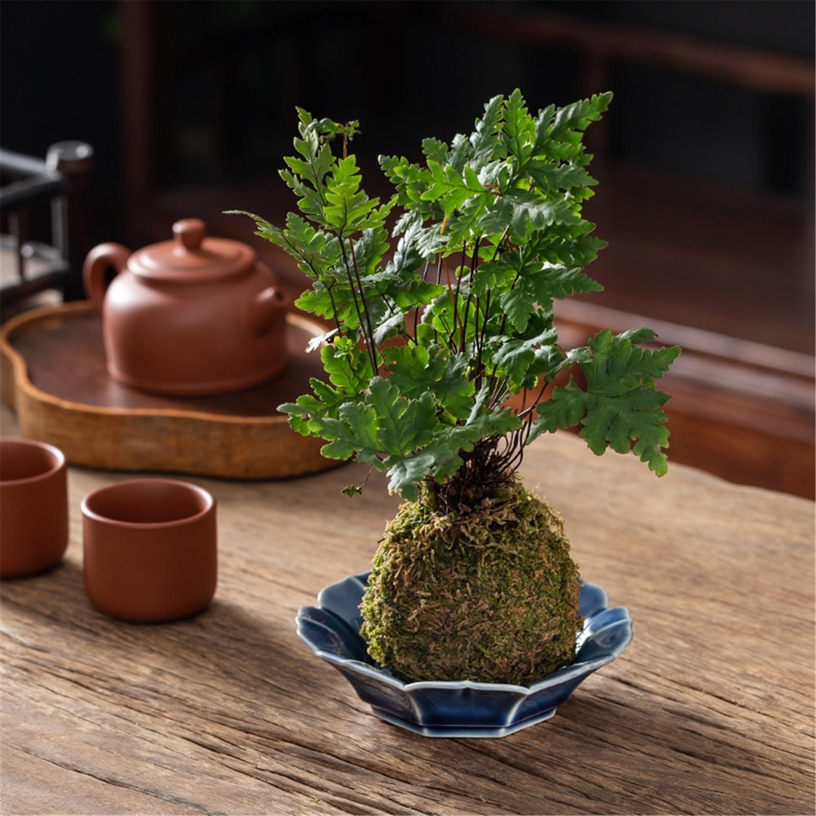 Sottovasi per Fiori Piattino Floreale con Vassoio raccogligocce in Ceramica a Forma di Fiore Vaso