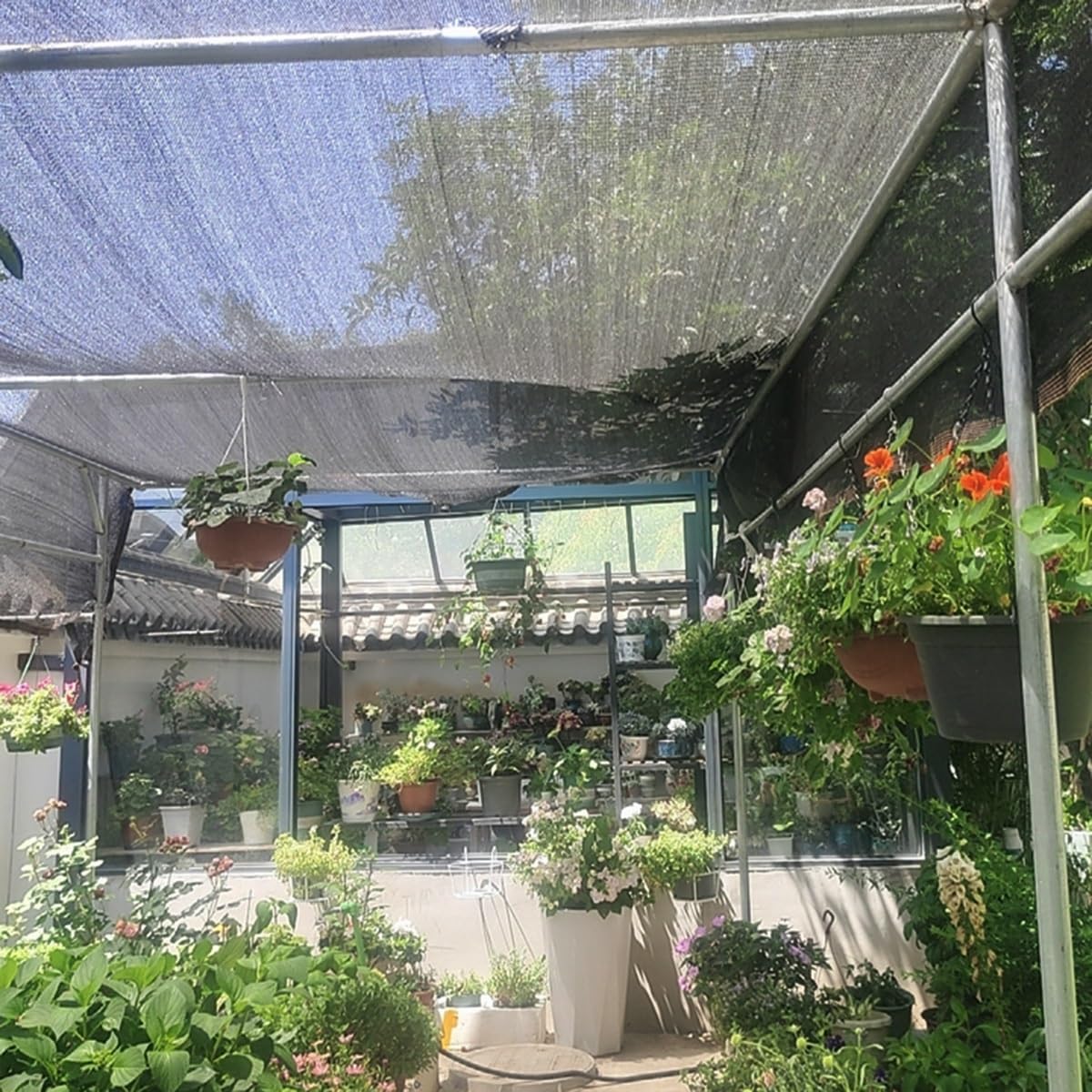 Czarna plandeka siatkowa z przelotkami oddychająca fabryka szklarnia ogród podwórko patio roślina kurczak Rozmiary: 1 x 2 m do 10 x 11 m (4,5 x 12 m idealna opcja)