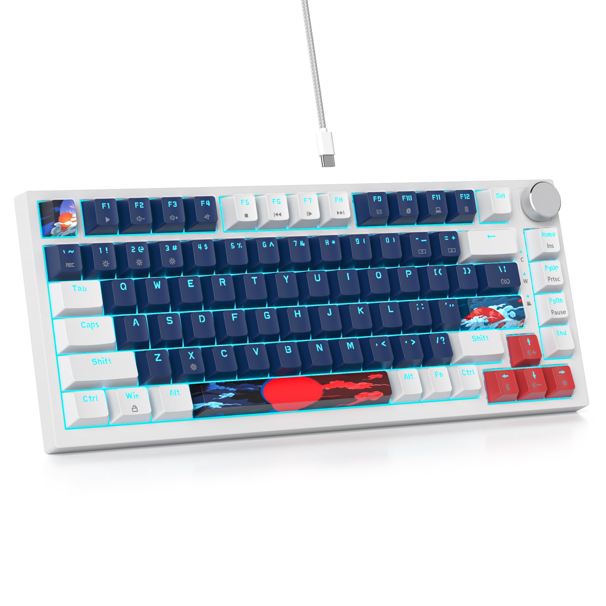SOLIDEE Verkabelte 75% Mechanische Gaming-Tastatur,hot-swap-fähige Mechanische Tastatur mit Gasket Struktur,RGB-Hintergrundbeleuchtung,82 Tasten Kompakt TKL Tastatur mit Drehknopf(82 White Blue)