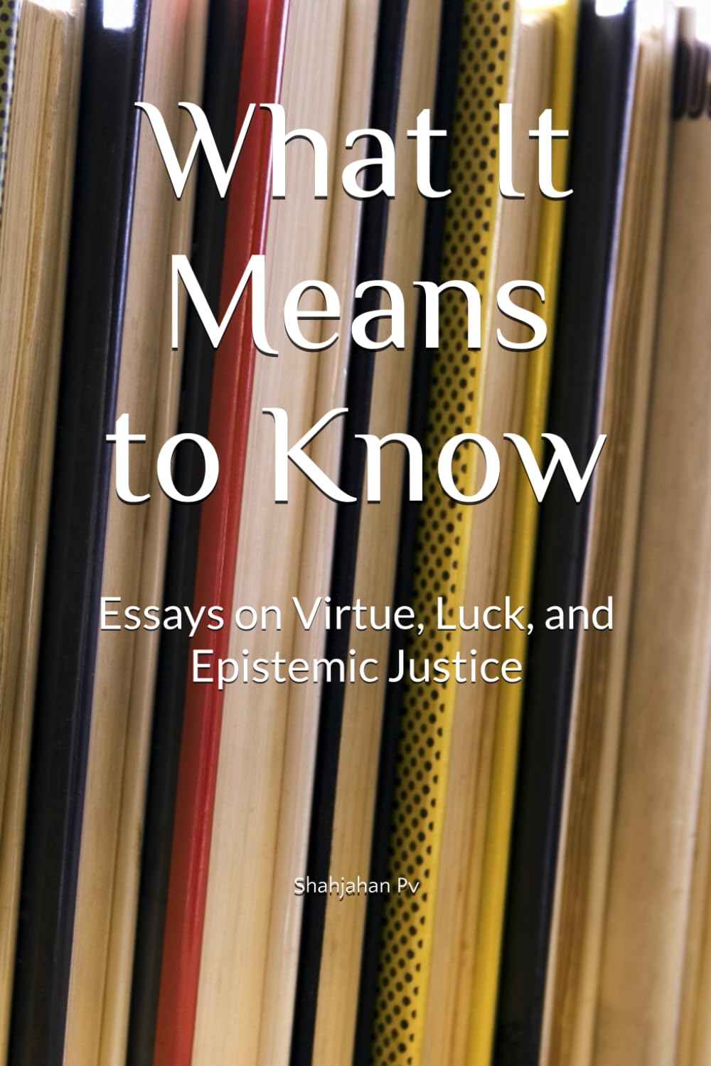 What It Means to Know: Essays on Virtue, Luck, and Epistemic Justice