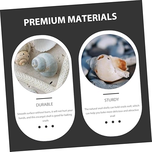 Miniatura 9 de Healifty 5 piezas de caracol natural para hornear caracol decorativo para aislamiento térmico para cocinar en casa y comedor elegante