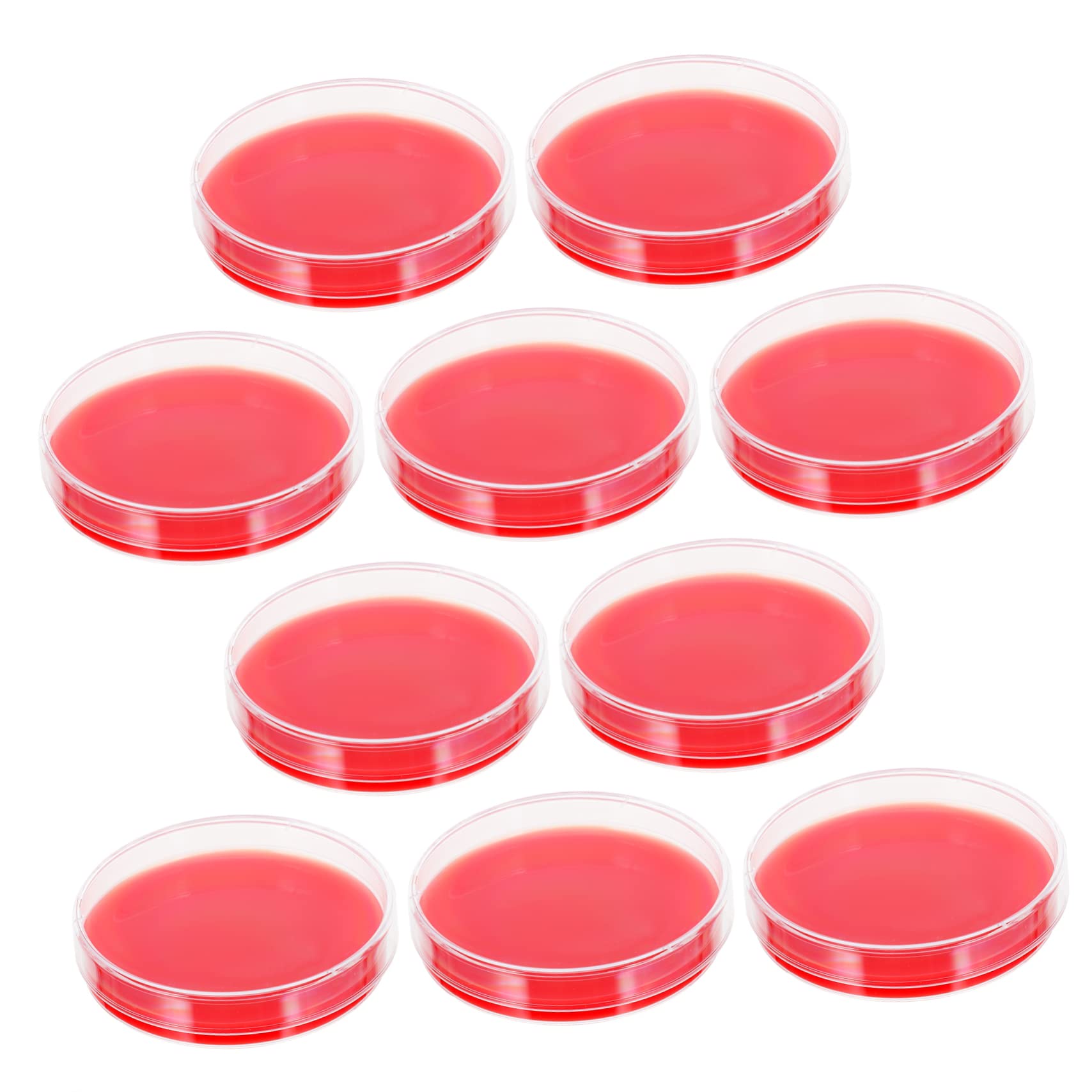 iplusmile 20pezzi Piastre Di Agar Per Coltura Medium Di Crescita Per Laboratori Resistente e Leggero Per Esperimenti Scientifici