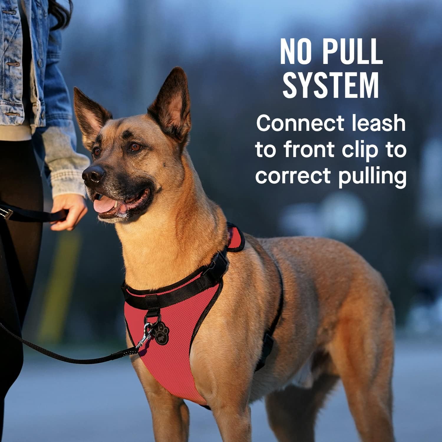 Canada Pooch Everything No Pull Dog Harness - Easy Walk Harness for Dogs with Breathable Mesh Exterior, Adjustable Dog Walking Harness