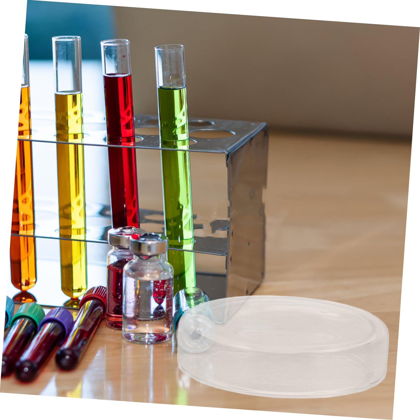 Anneome 6 Stück Agar Petrischalen aus Hochborosilikatglas mit Deckel Wiederverwendbar Hitzebeständig Flache Glas Kulturschalen für Laborexperimente und Forschung
