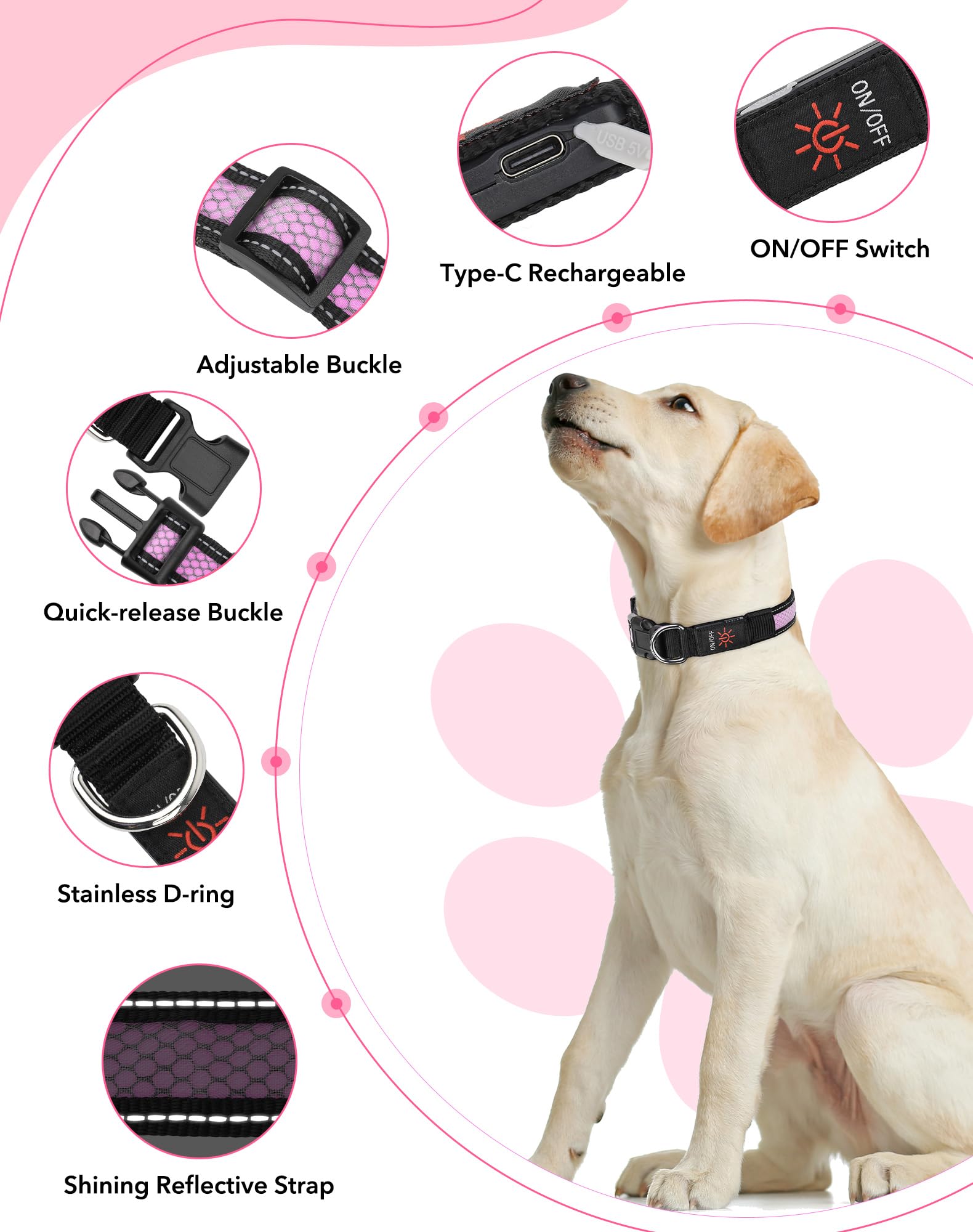 Weesiber Light Up Dog Collar, Flashing LED Dog Collar Rechargeable, Reflective Pet Collar - Image 2
