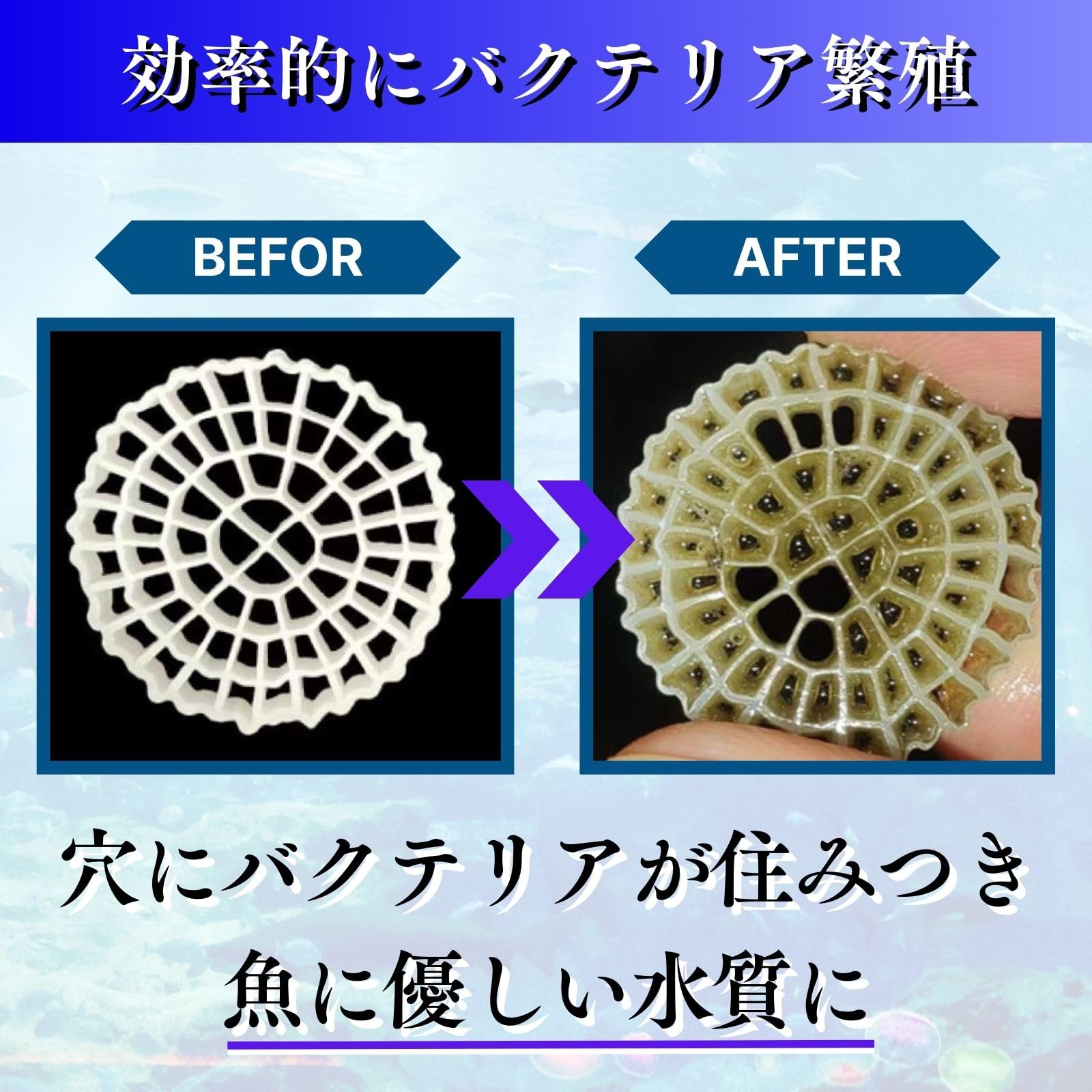 流動濾過材 MBBR ろ材 水槽 水質浄化 アクアリウム 生物濾過 バクテリア Amazon | CHASO 流動濾過材 MBBR ろ材 濾過材 ろ過材 水槽