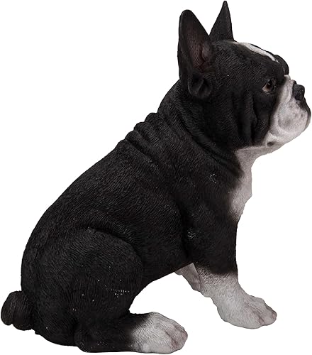 Miniatura 6 de Hi-Line Gift Ltd Estatua de cachorro de bulldog francés sentado