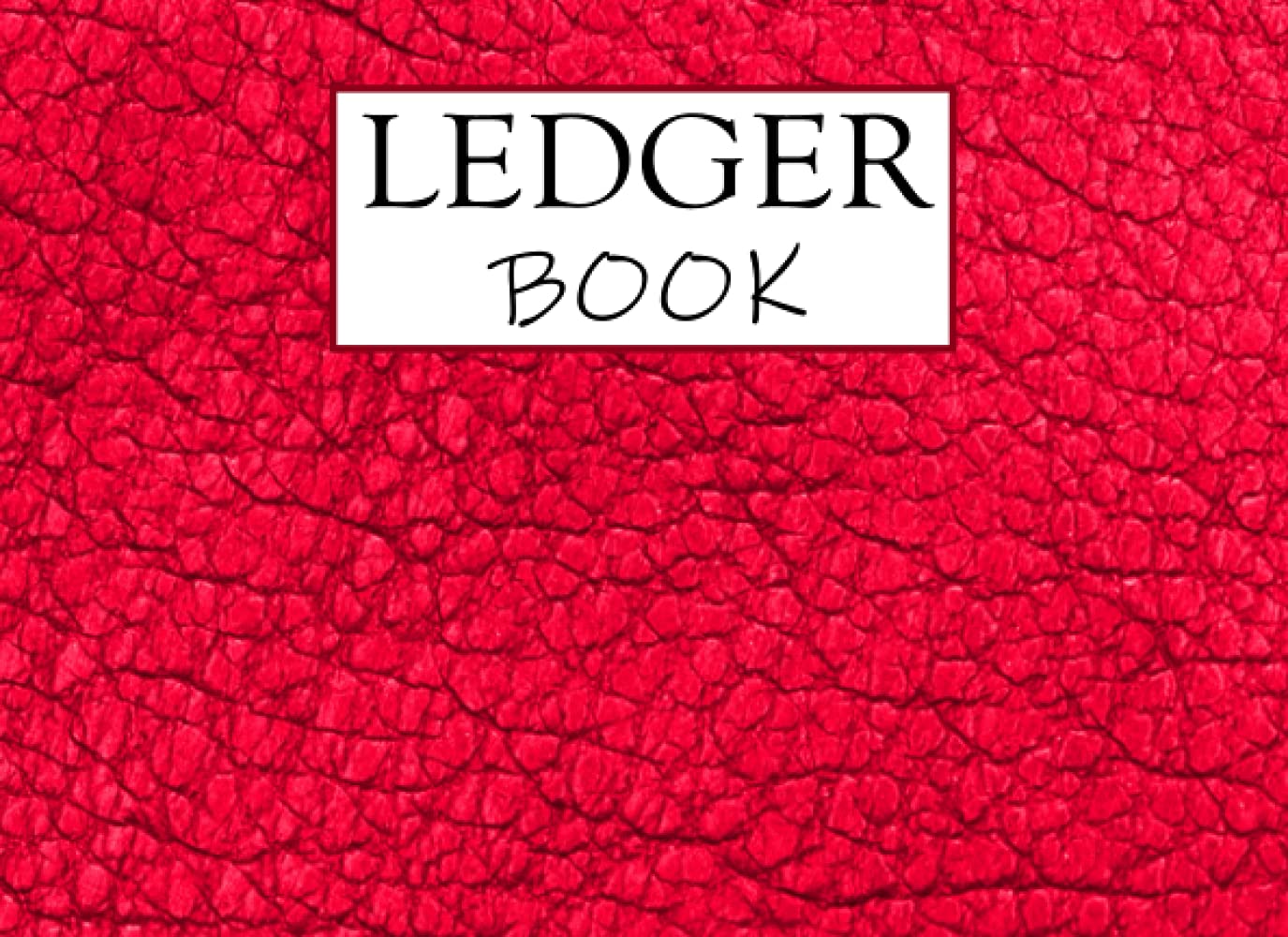 Ledger Book: Income and expense log book , Record Income and Expenses