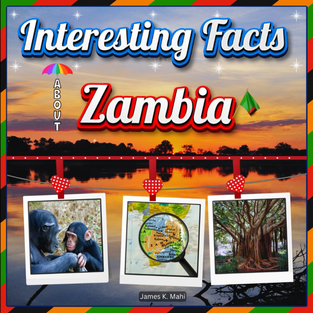 Interesting facts about Zambia: Zambia Travel and Educational Facts Book for Kids