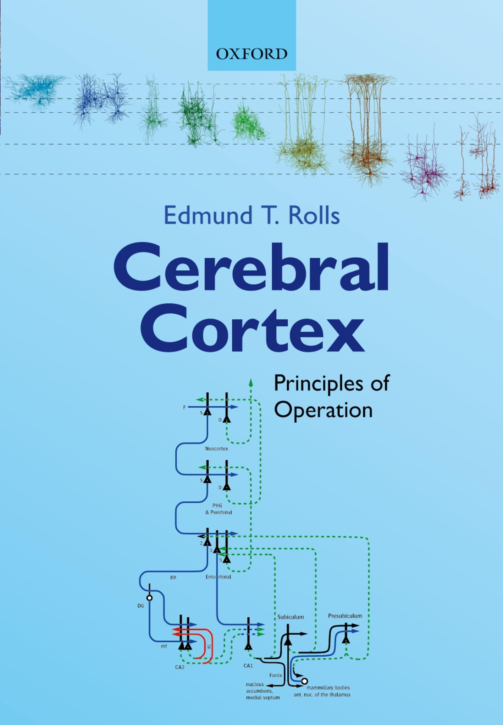 Cerebral Cortex: Principles of Operation cover