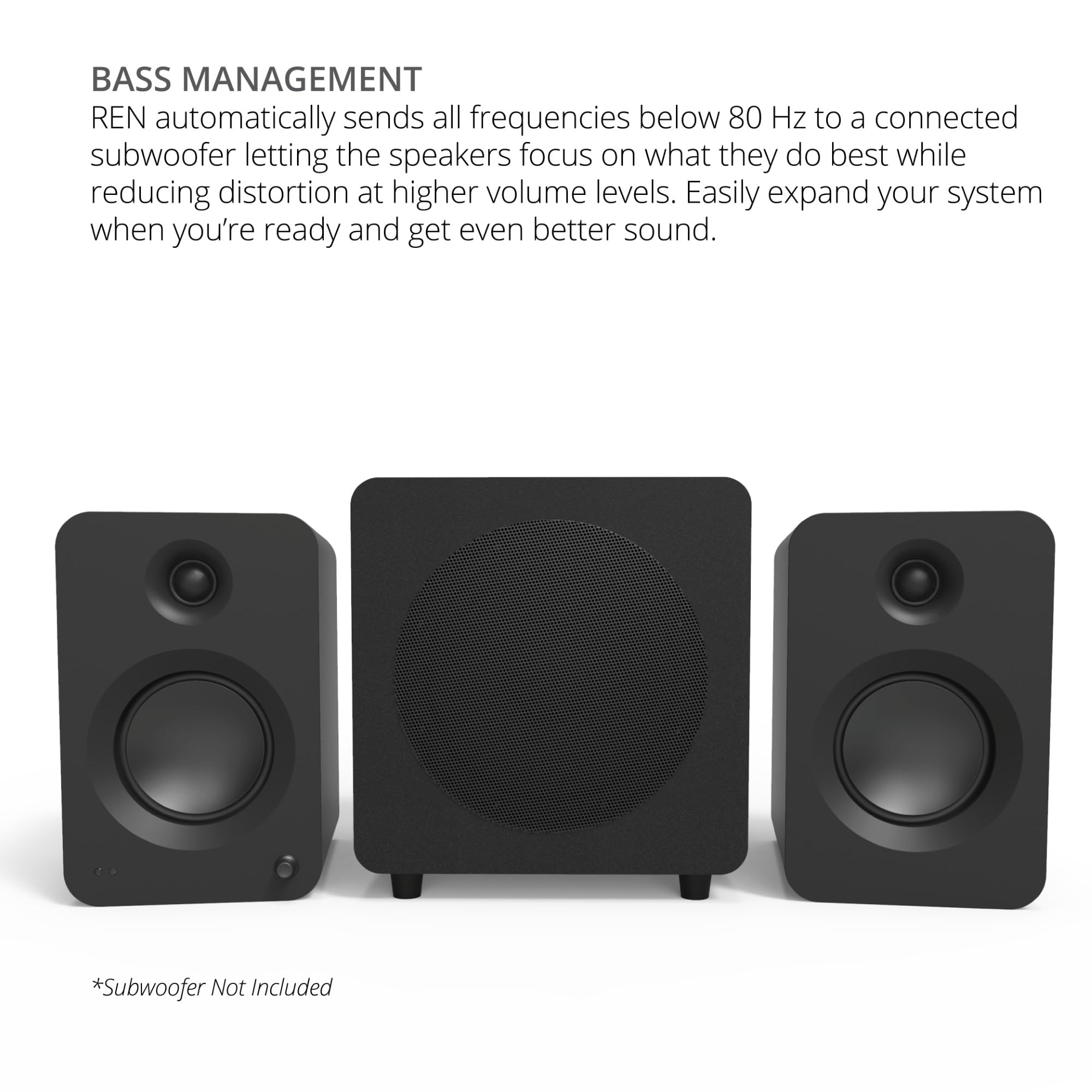 Kanto REN 200W Powered Speaker System with HDMI ARC Input for TV & Home Theater | USB-C and Bluetooth 5.3 | High/Low Pass Filter | Pair | Matte Black