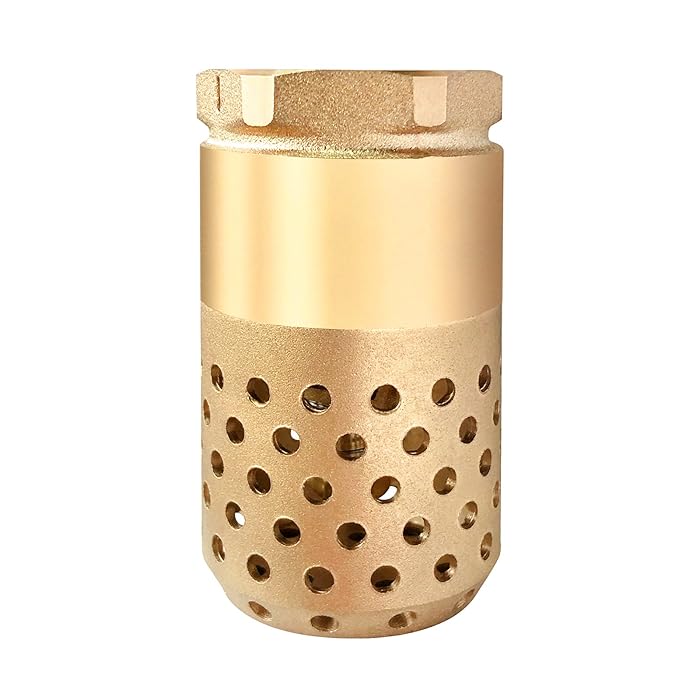 Buy Brass Foot Valve Heavy Duty 1" NPT Foot Valve Female connection