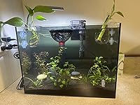 Review Image by Allie Allie