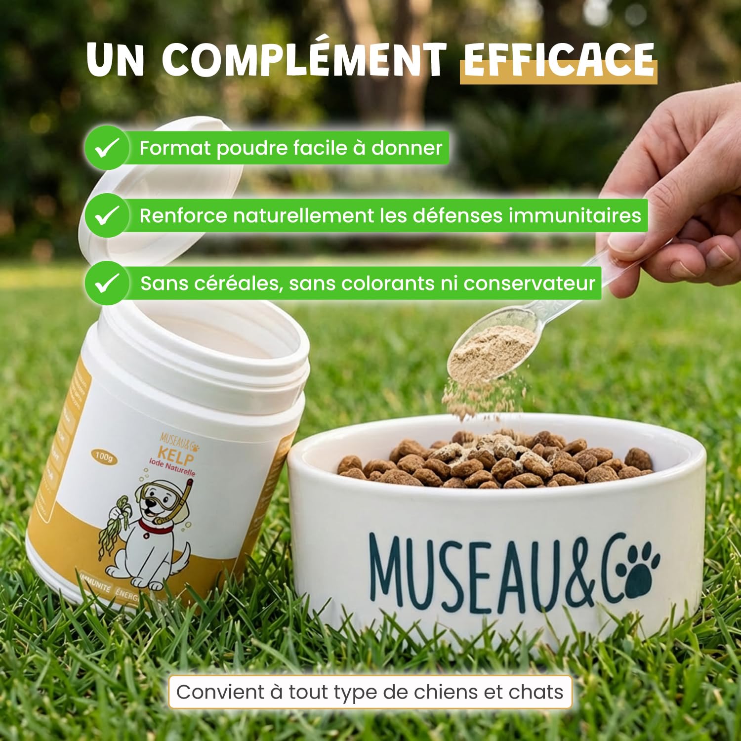 Kelp en Poudre pour Chien et Chat - Complément Alimentaire 100% Naturel - Riche Iode et en Minéraux - Boost Les Défenses Immunitaire - Soutien la Thyroïde - 100g