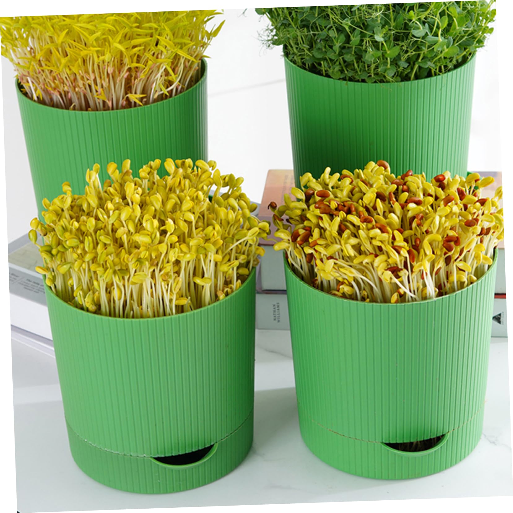 INOOMP Kit di Germinazione per Germogli, Vassoio per Semi in Pp e Pietra, Riutilizzabile e Traspirante, Drenaggio, per Serra o Veranda