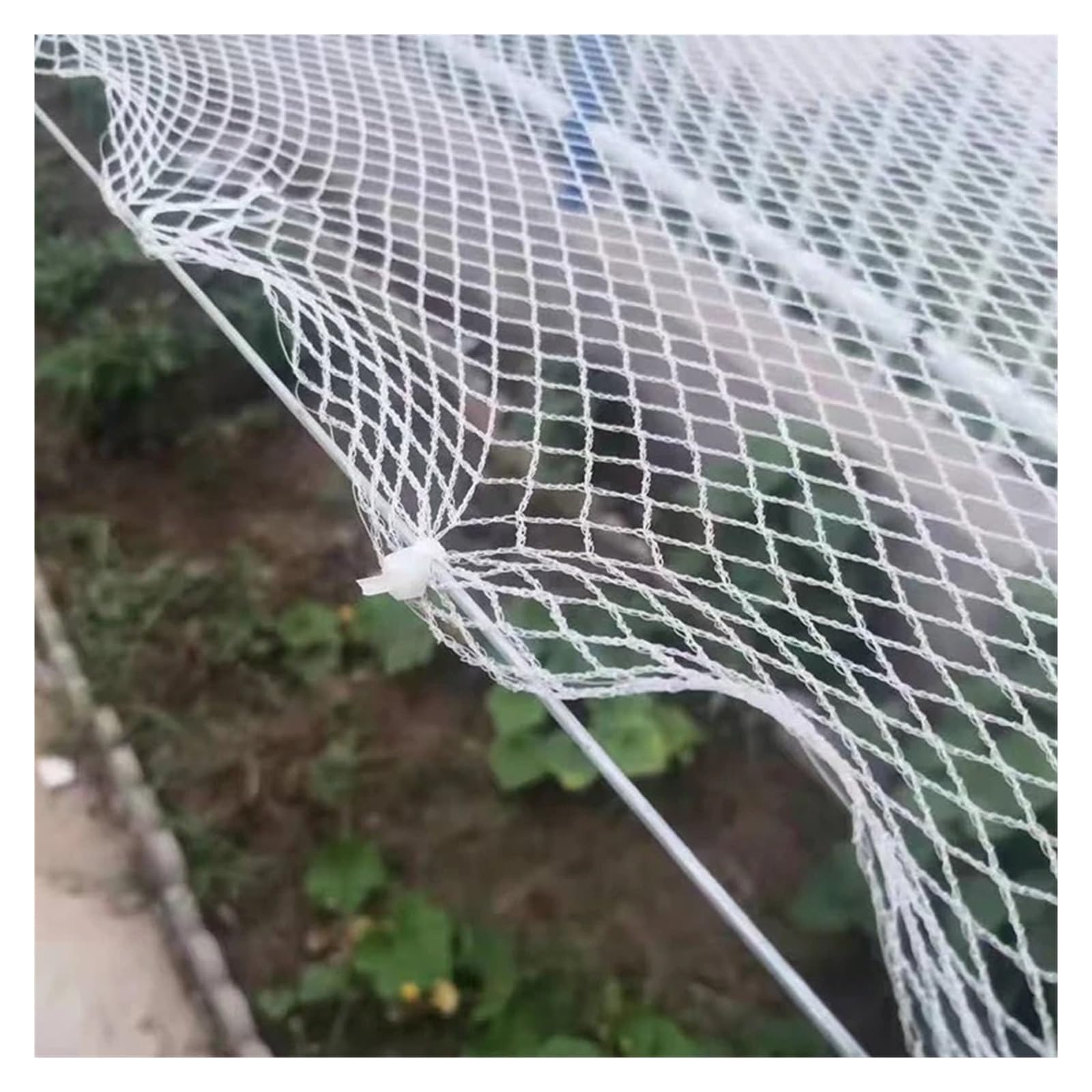 Red de nailon rojo para pájaros 0,5: ideal para proteger vides, árboles frutales y jardines (4 x 10 m) - Malla antipájaros duradera para un control eficaz de la vida silvestre