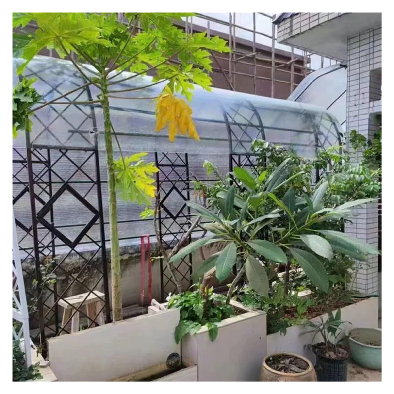 Hoja de plástico acrílico transparente de 0,6 x 12 m, cubierta de invernadero resistente a la lluvia, aislamiento para toldo y cochera al aire libre, fácil de doblar y cortar, tablero resistente al