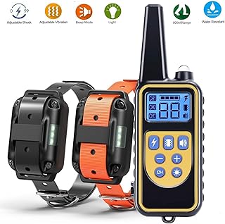 Amazon.fr : collier de rappel chien