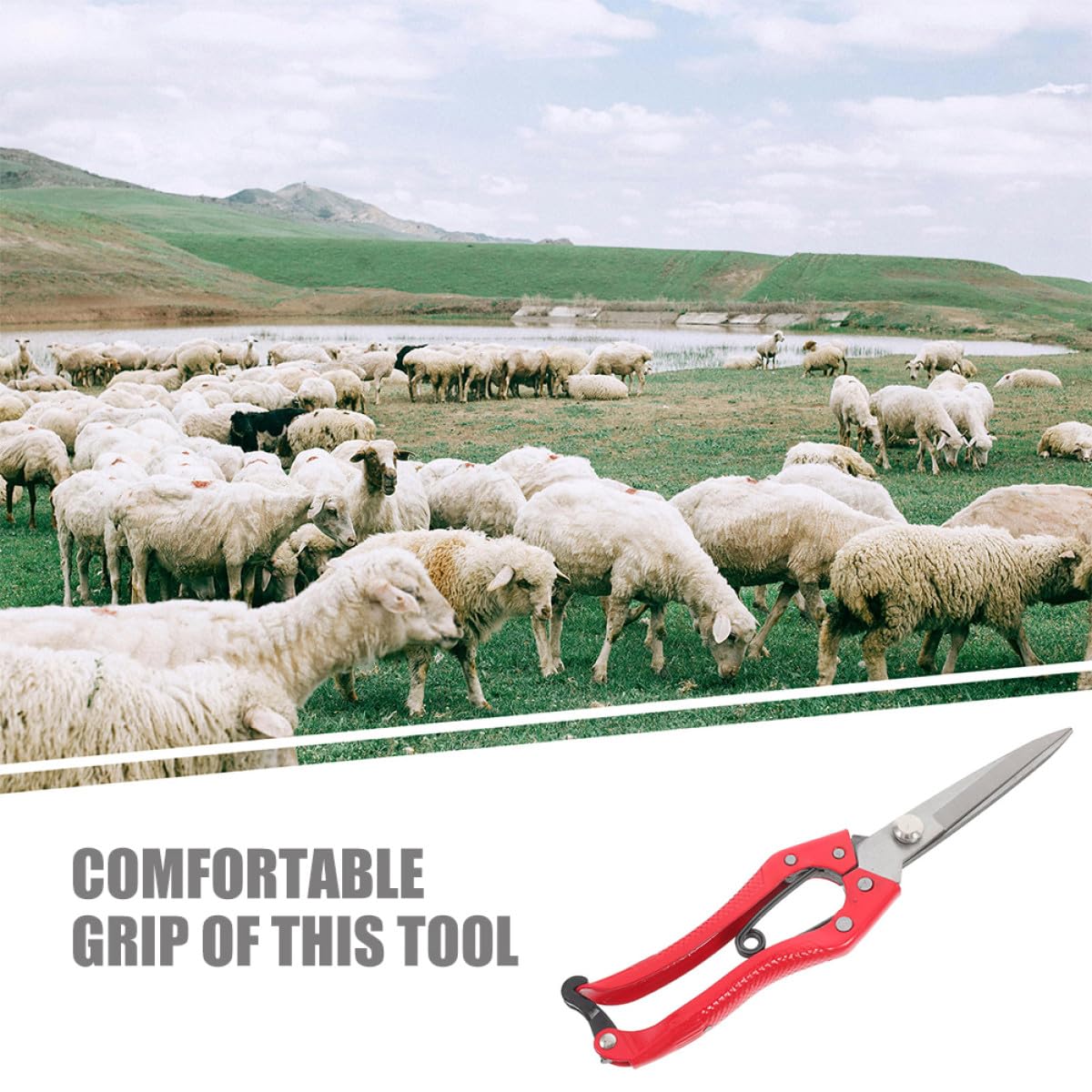 VANZACK 2piezas Tijeras Manuales Para Shearing De Lana De Oveja Cortador De Pelo Para Ganado Diseño Ergonómico De Acero Al Carbono Herramienta De Jardinería Agrícola