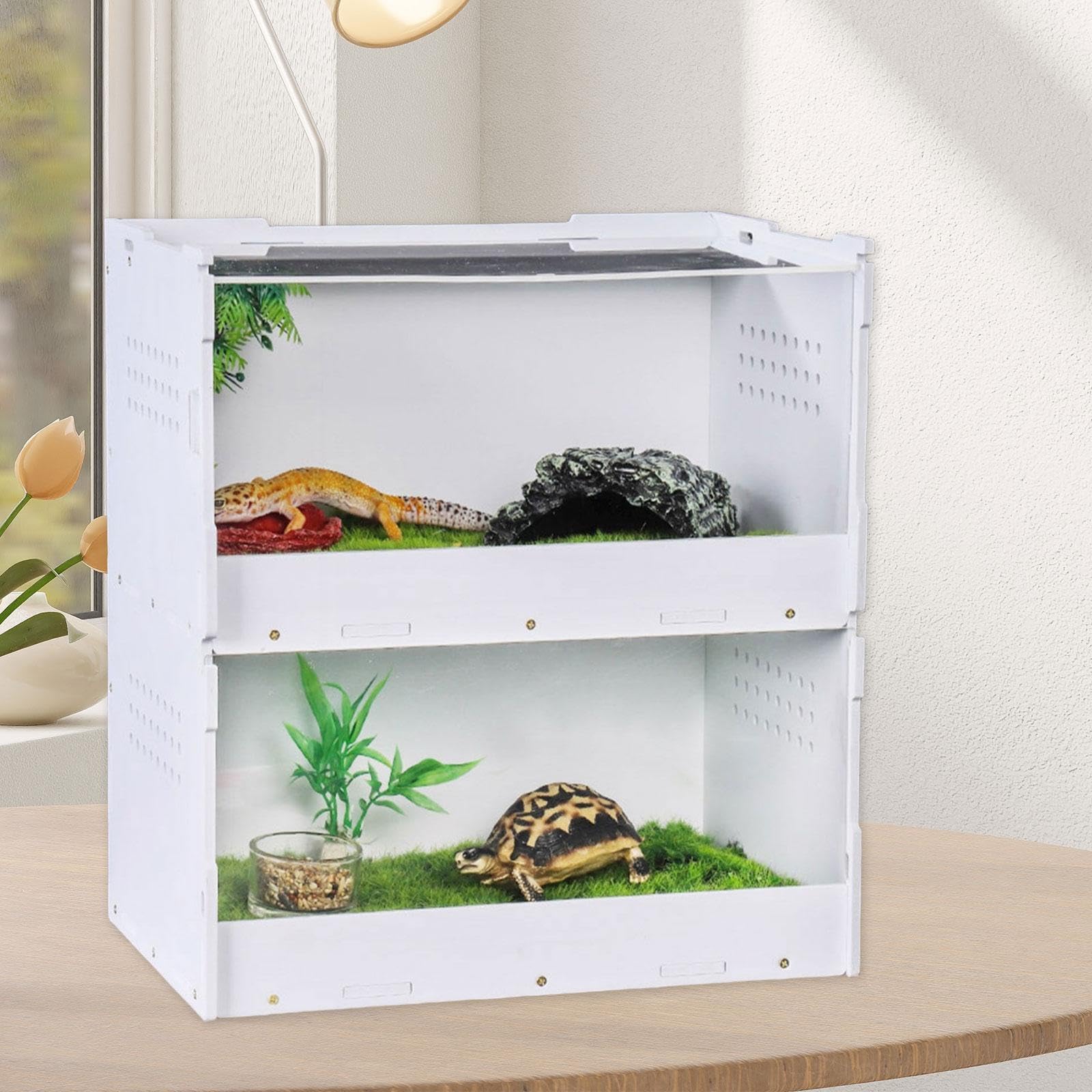 Caja de Alimentación para Reptiles, Terrario para Reptiles, Kit de Inicio para Arañas Y Geckos, L