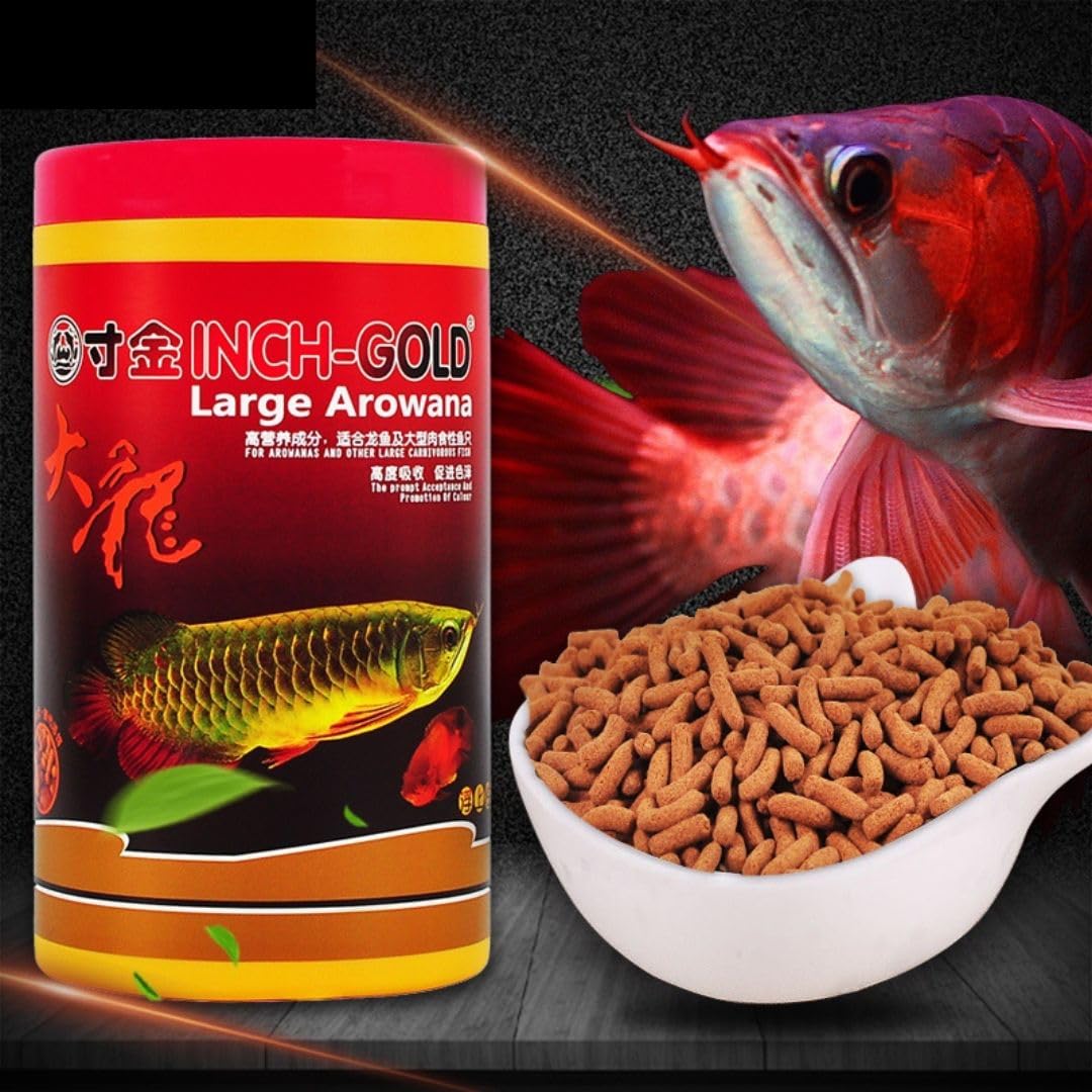 VAYINATO Inch Gold Large Arowana,454G For Large Arowanas And Carnivorous Fish|The Prompt Acceptance And Promotion Of Colour