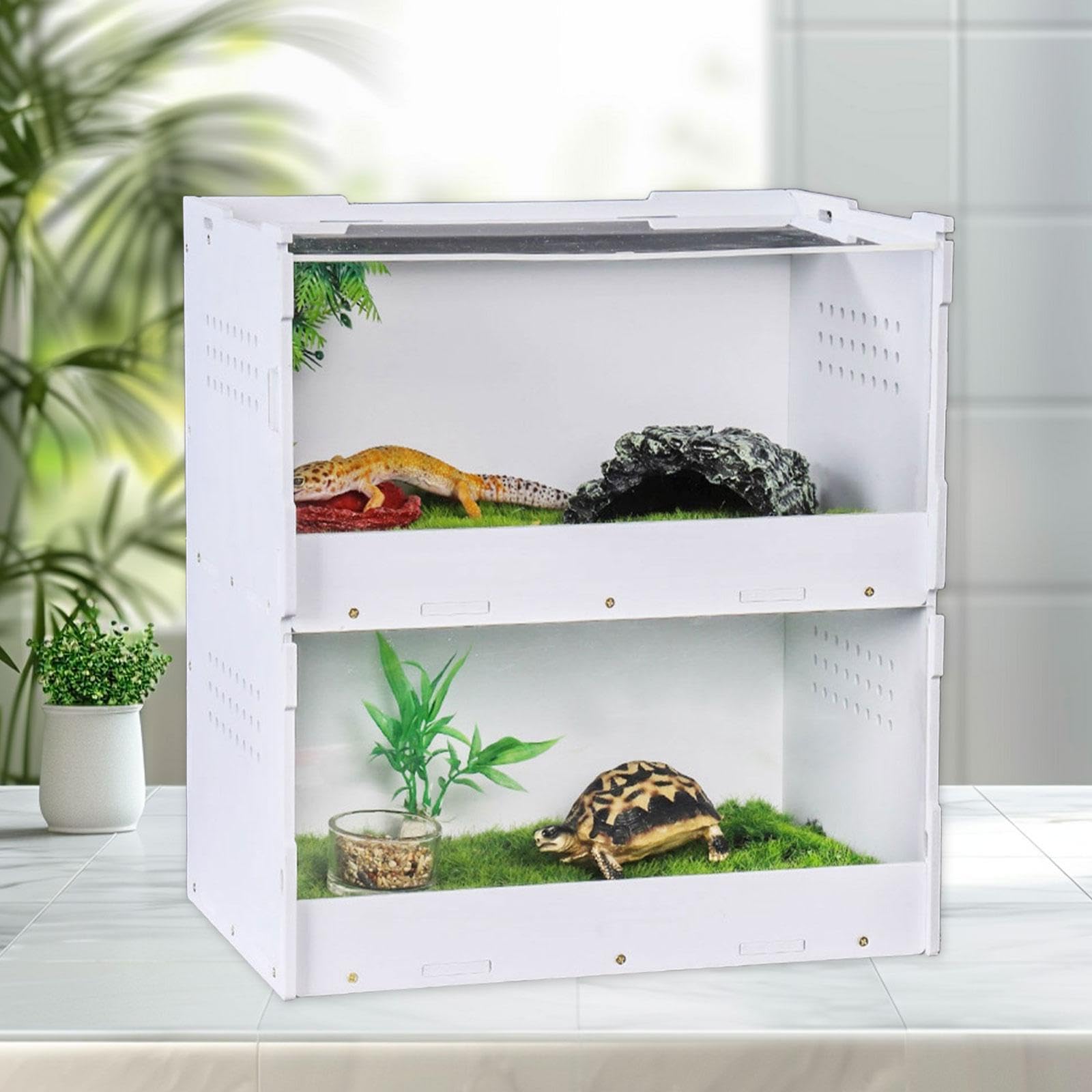 Caja de Alimentación para Reptiles, Terrario para Reptiles, Kit de Inicio para Arañas Y Geckos, L