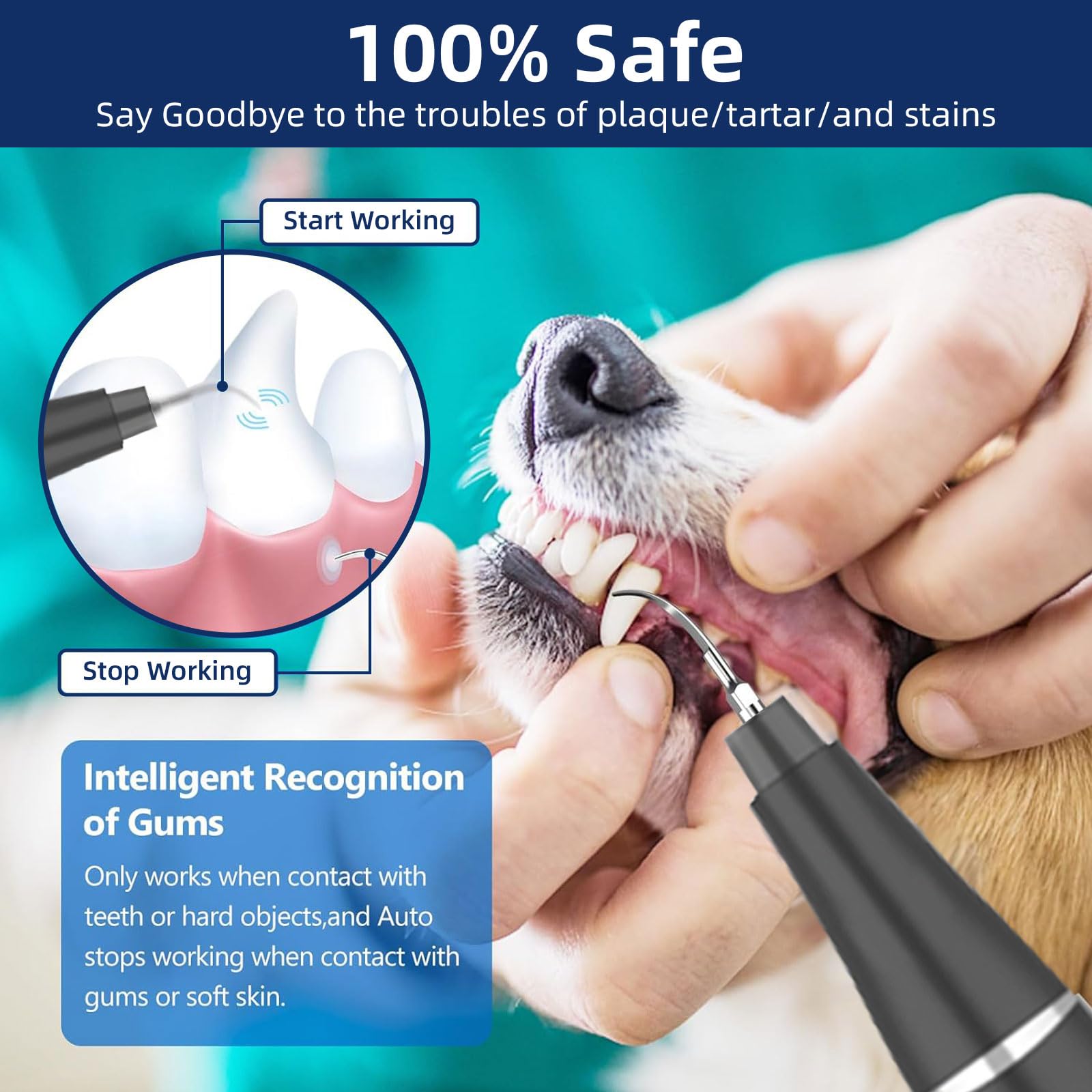 Herramienta de eliminación de placa dental: kit de limpieza de dientes de perro, raspador dental para sarro y placa, 3 modos de limpieza, carga USB, herramientas de limpieza de dientes con