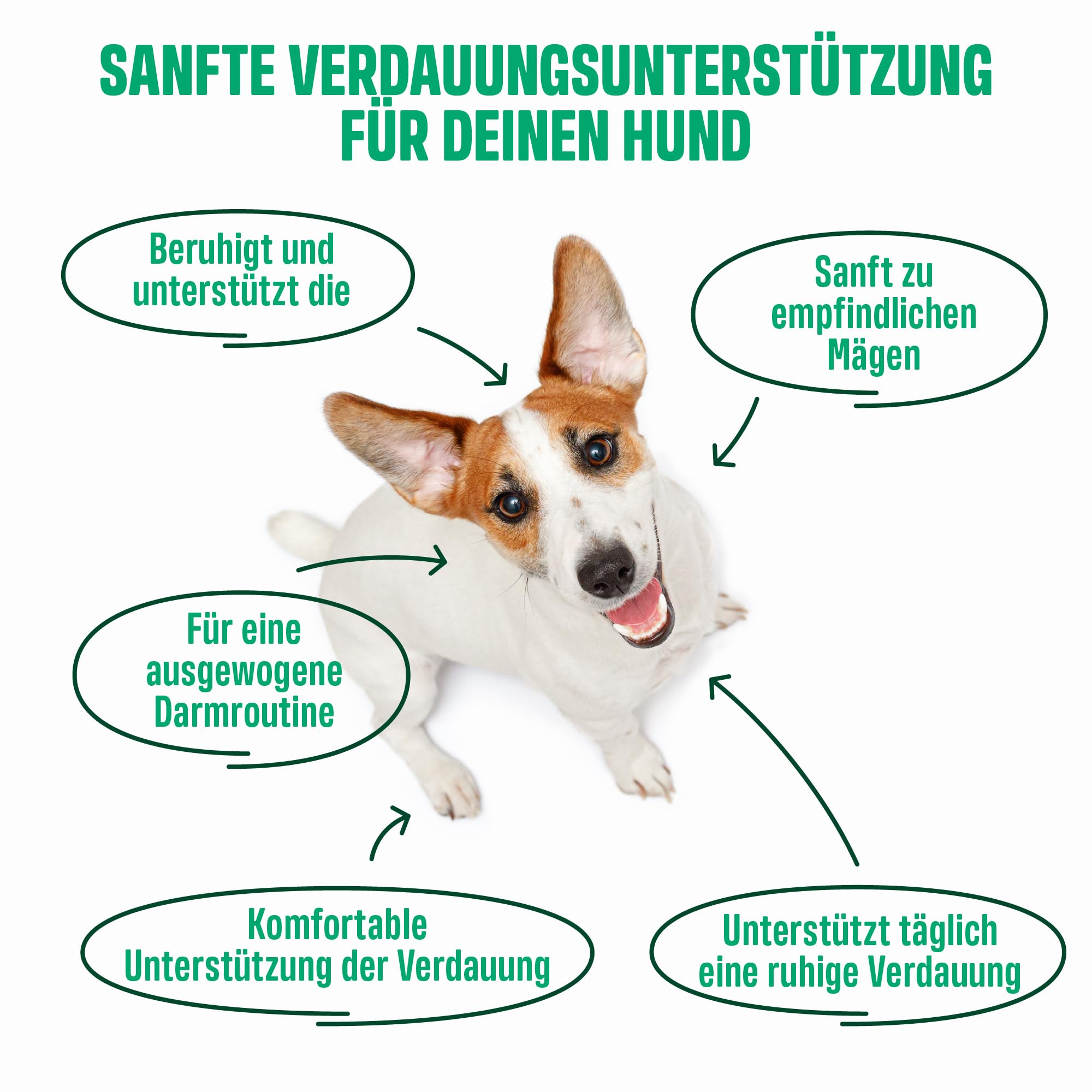 ivvi Ulmus für Hunde – Weiche Ulmenrinde Snacks mit Kürbis & Leinsamen – Verdauungssnacks mit 30% Huhn – Für Sensible Hunde & eine ausgewogene Verdauungsroutine – 270g, 60 Snacks