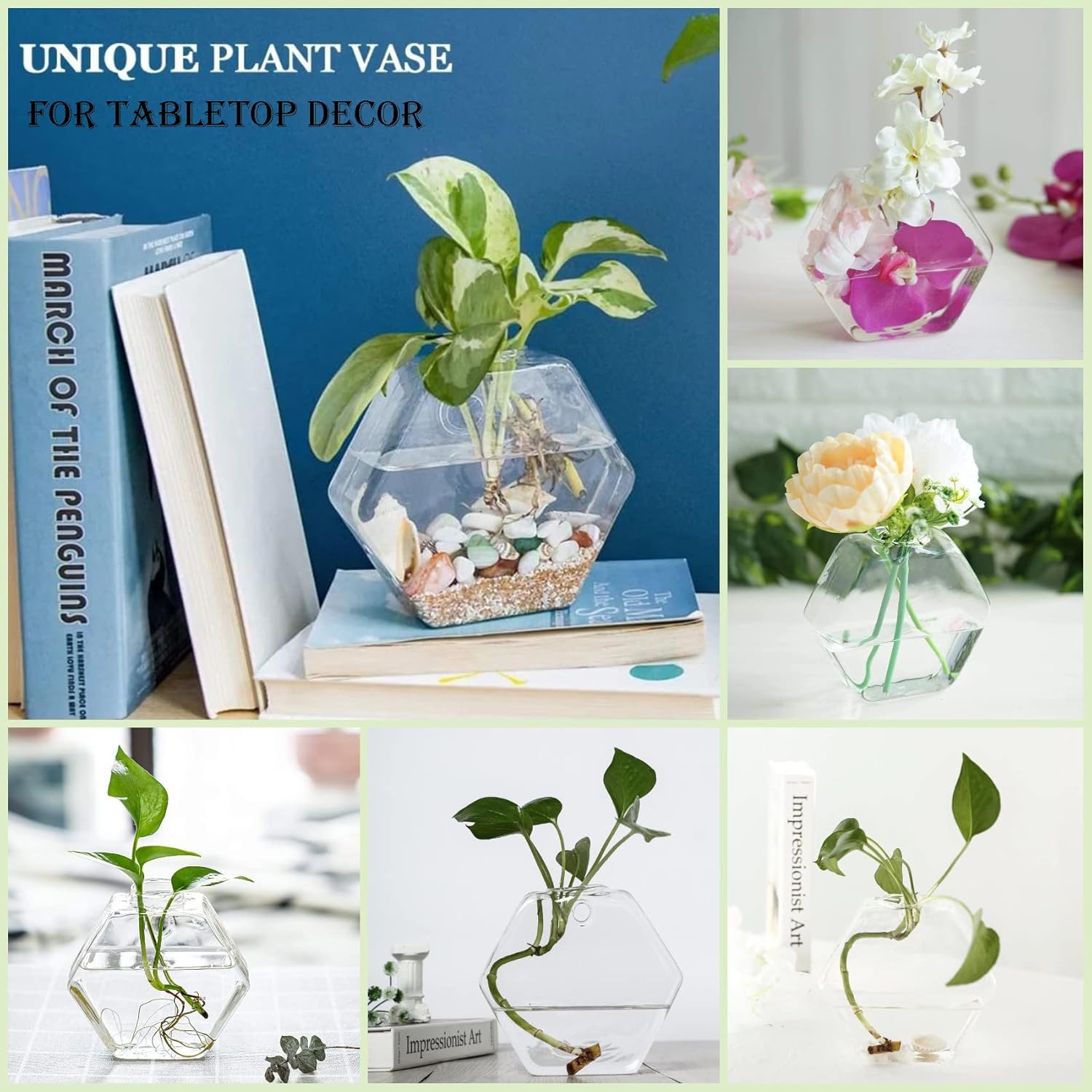 Kingbuy Hexagon Wall Planter Set - 3 Pack Glass Propagation Terrarium Vases with Hanging Mounts for Indoor Plants, Air Plants & Hydroponic Stations Home Office Decor, Plant Lover Gifts (Large)