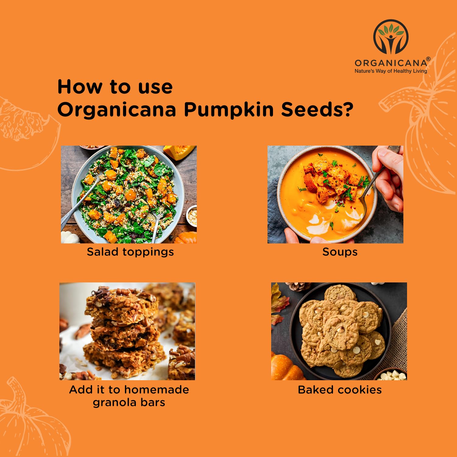 Organicana Pumpkin Seeds - 250g (Pack of 1) | AAA Grade Seeds for Eating | Premium Protein Rich Seeds | Immunity Booster | Healthy Diet Snacks | Weight Management | Rich in Fibre 3