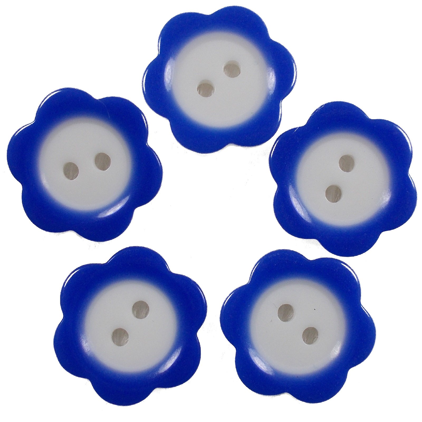 Colour Rim Daisy Flower Plastic Buttons 20mm (Blue, 5)
