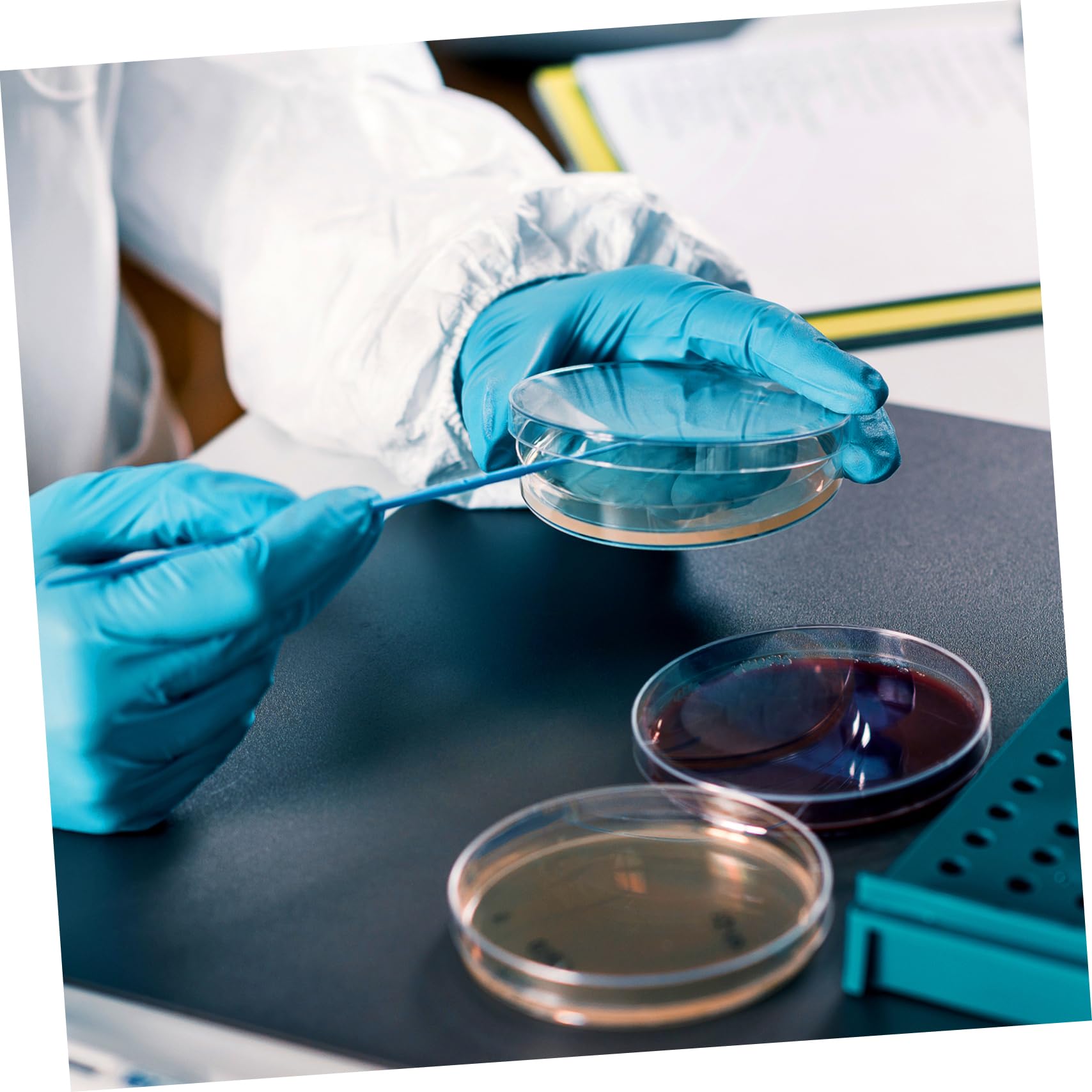 Didiseaon 20 Placas de Agar Nutritivo Prevertidas de 7 CM para Cultivo Microbiológico, Accesorio de Laboratorio Portátil Adecuado para Experimentos Científicos y Clases de Ciencias