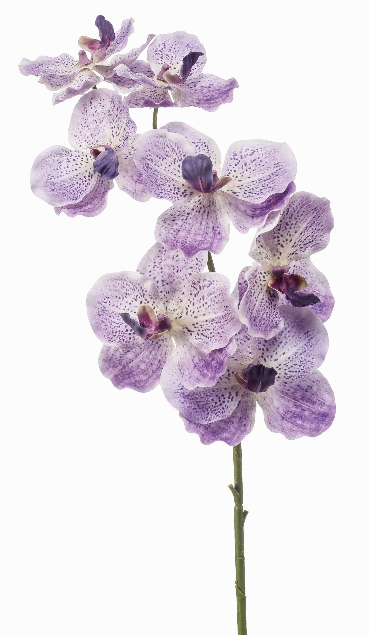 artplants.de Decorative branch Vanda orchid LODON, light lilac-white, 75cm - Artificial orchid