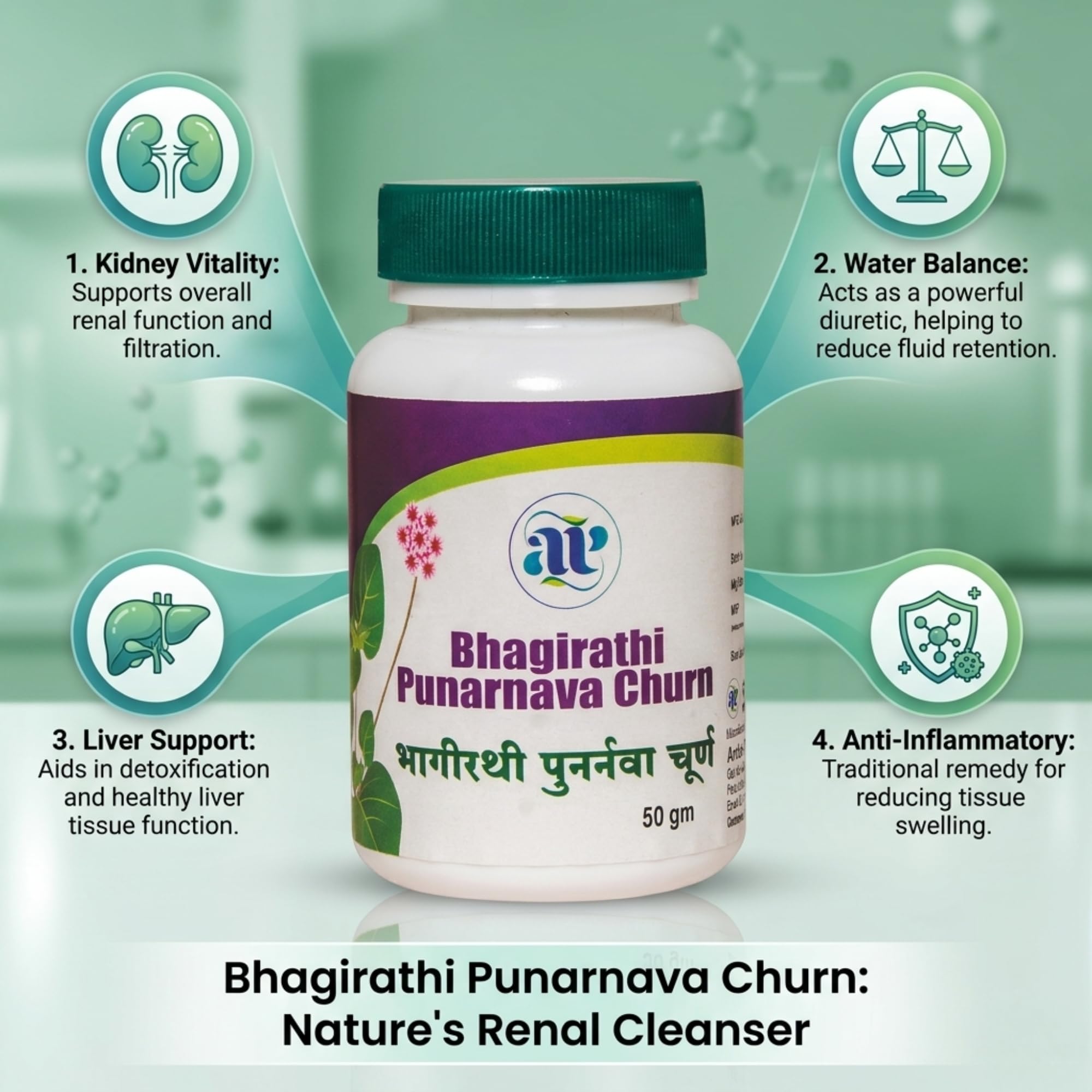 ARDEPATIL PHARMA Bhagirathi Punarnava Churna | Ayurvedic Herbal Powder for Kidney Health, Water Retention & Detox | 50g 1
